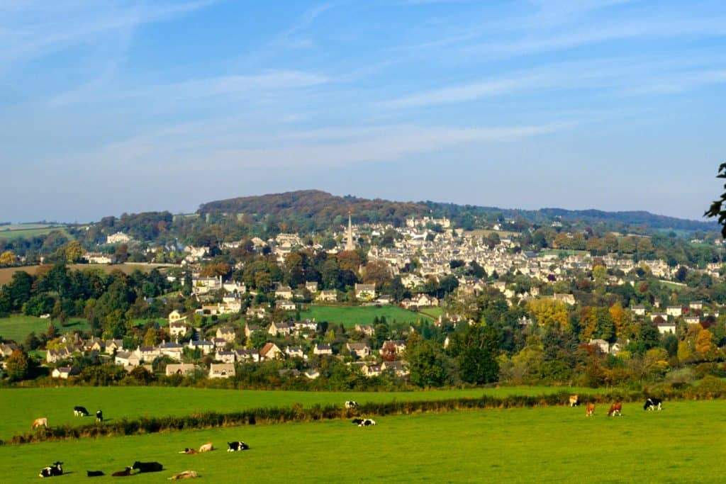 View at a small town and cows.