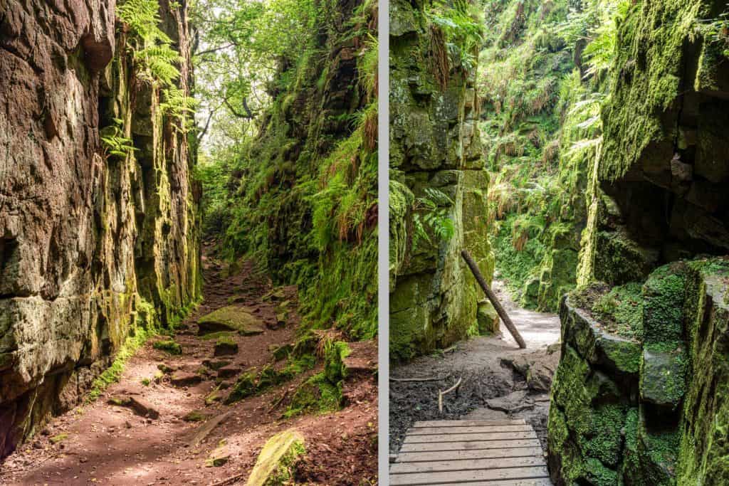 Lud's Church - green trails between rock formation.