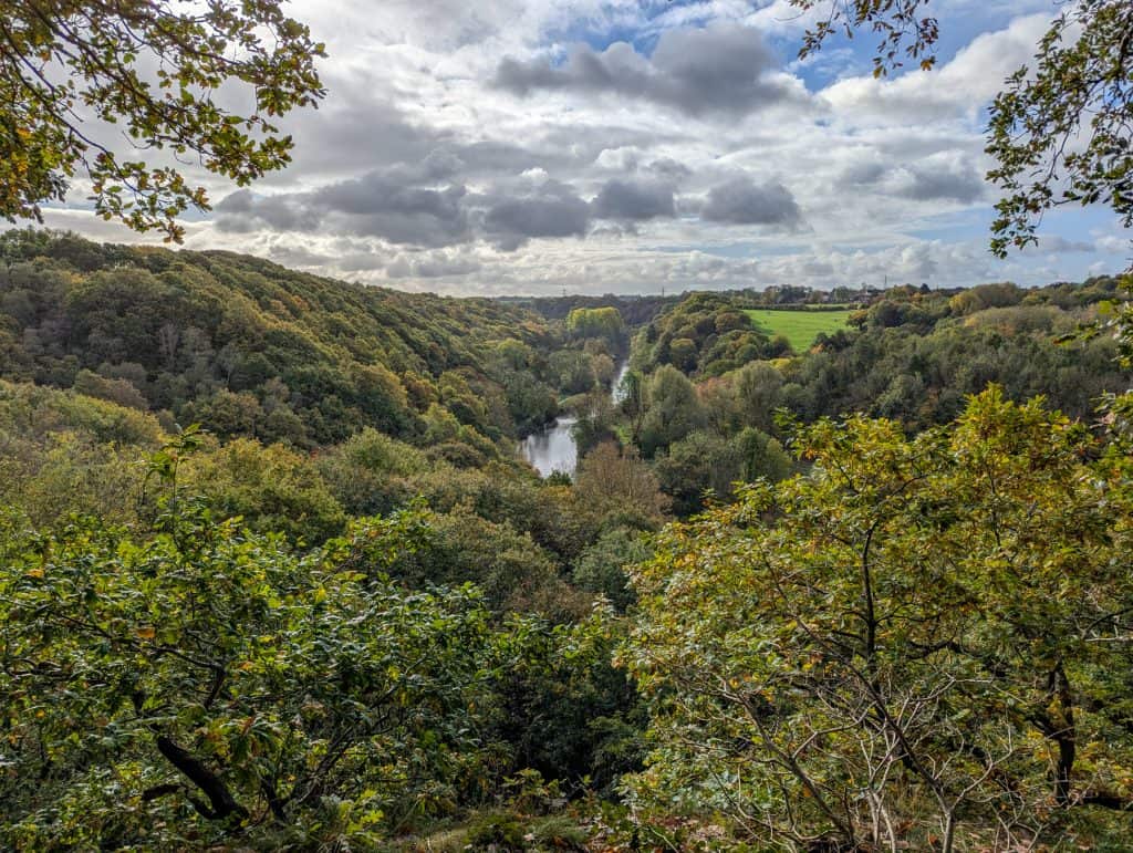 Views at a nature park in Bristol in autumn, walking in these park is among the best things to do in Bristol for couples.