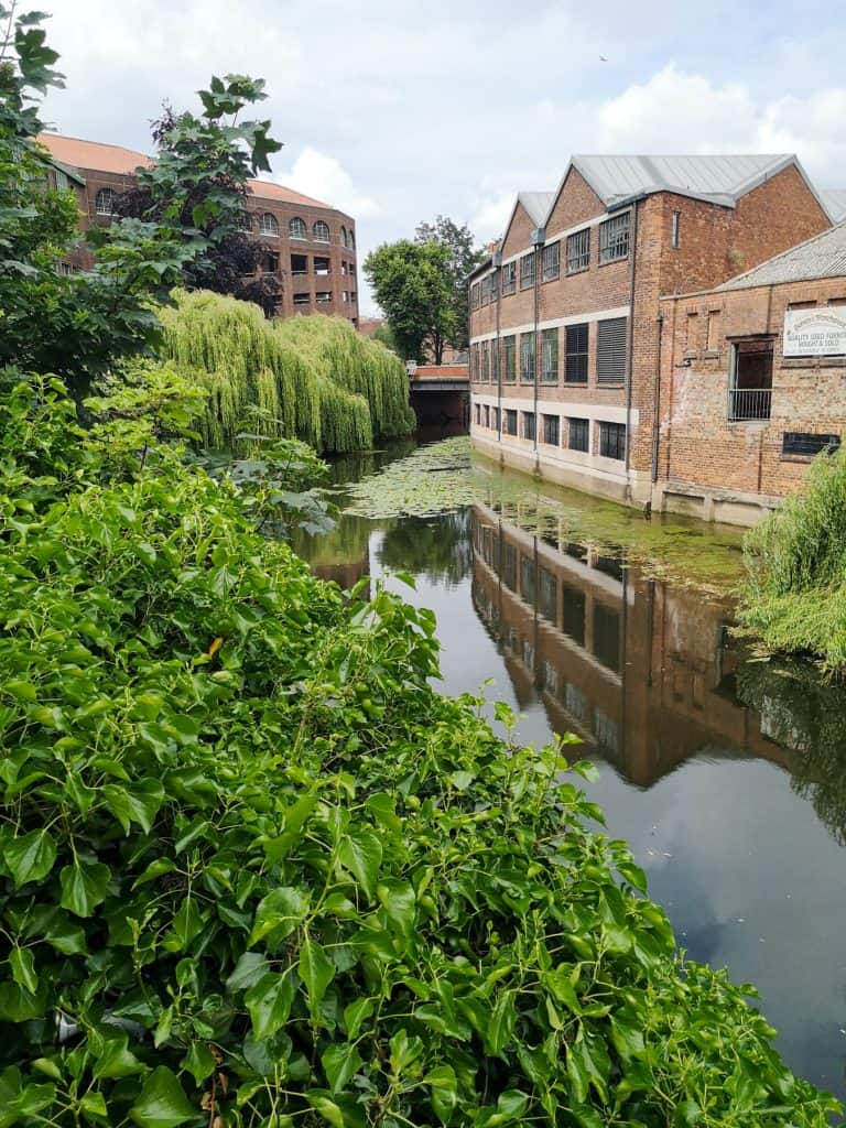 Riverside walk in York with buildings in summer.