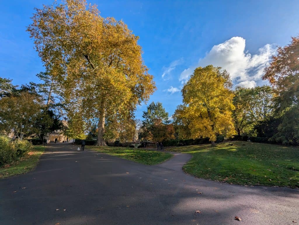 A park in Bath in autumn.