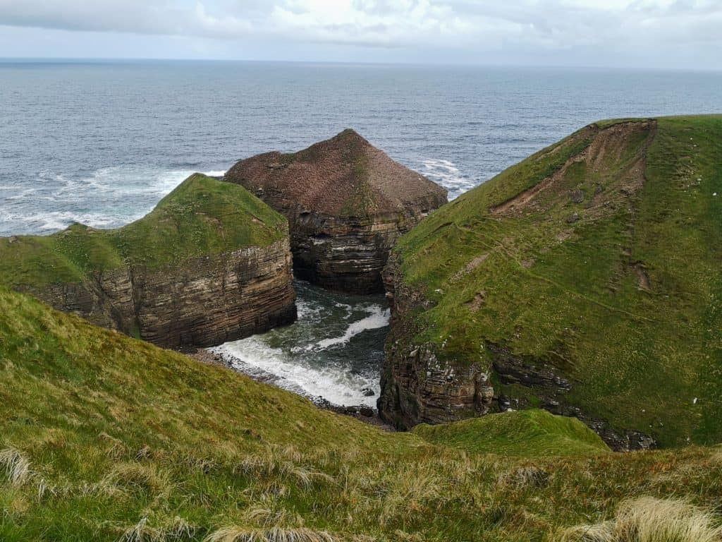 Green cliffs and see in Scotland with puffins.