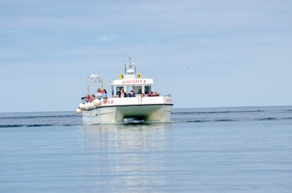 Boat trip to see puffins.
