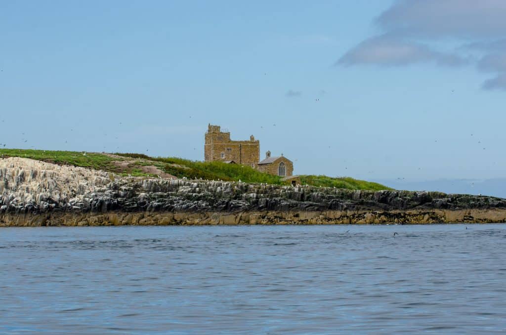Farne Islands views
